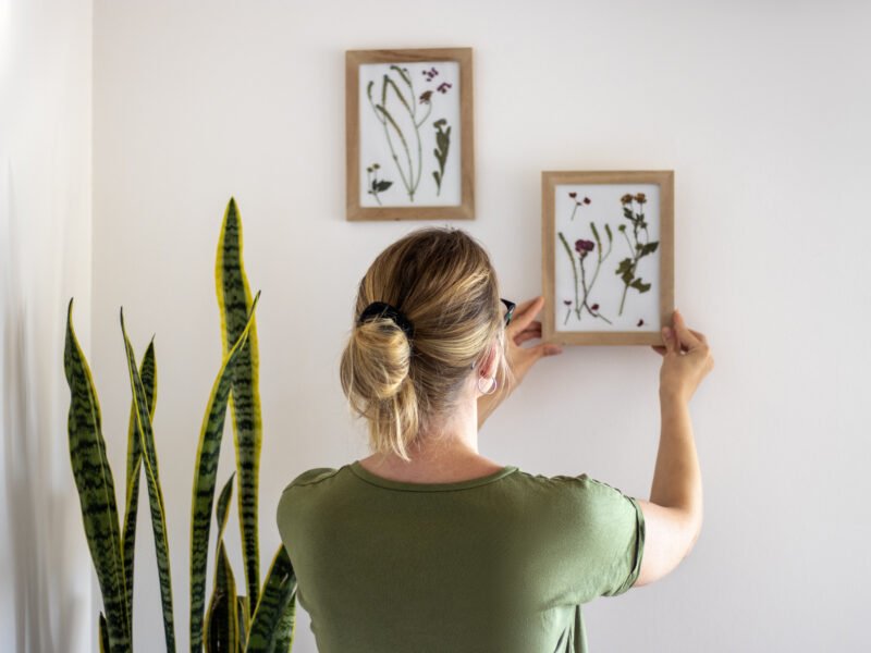 A woman hangs a picture