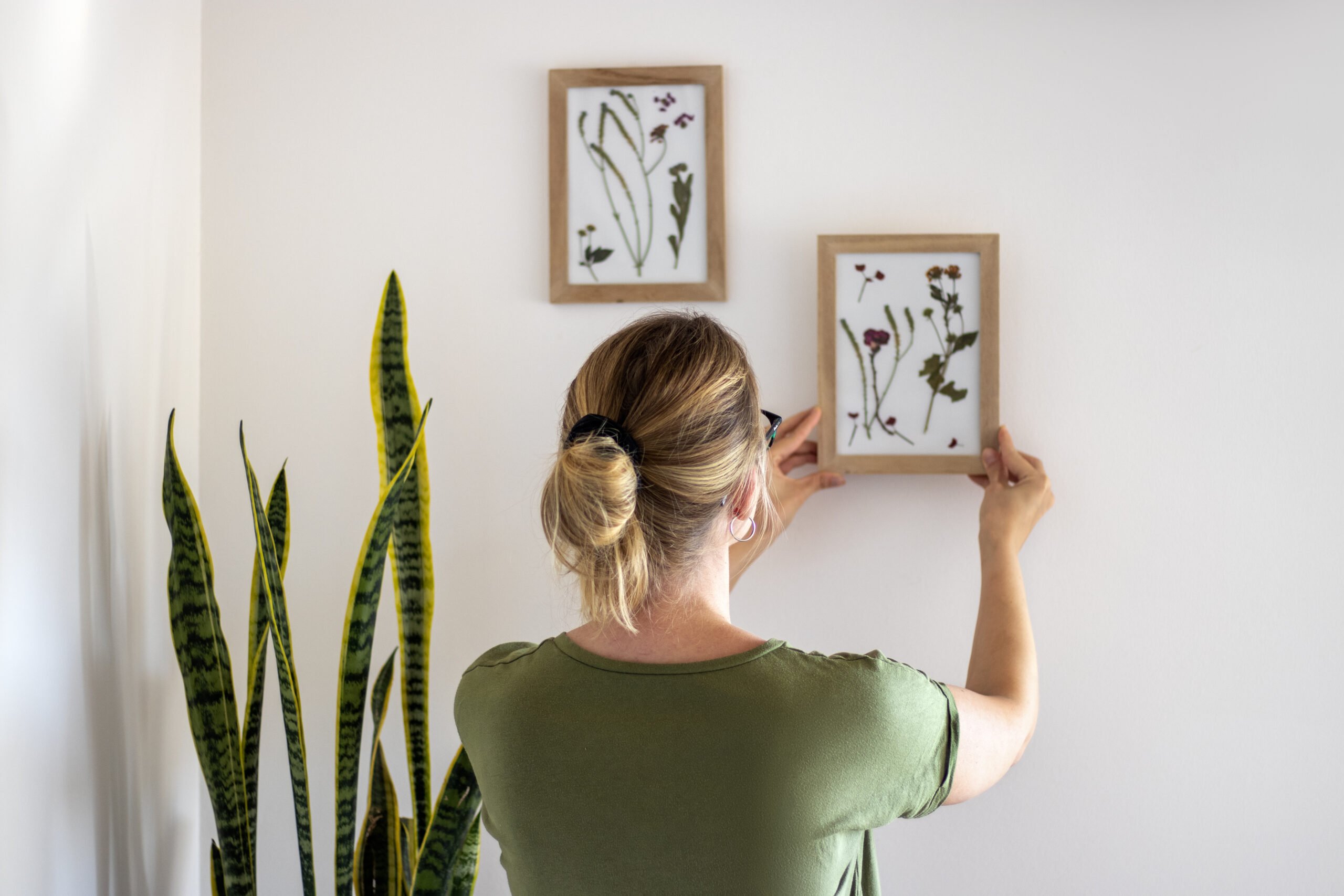 A woman hangs a picture