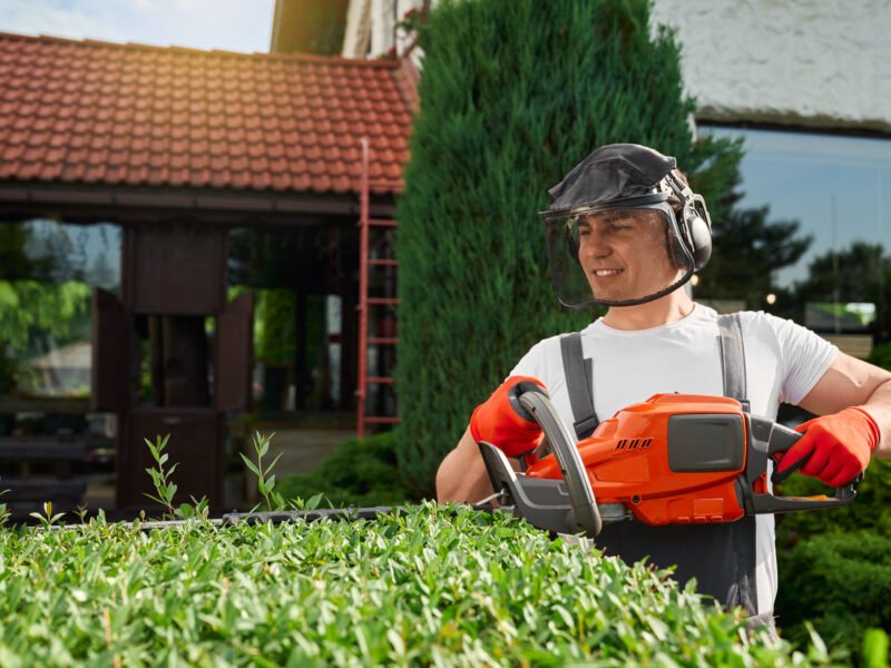 A gardener rakes bushes
