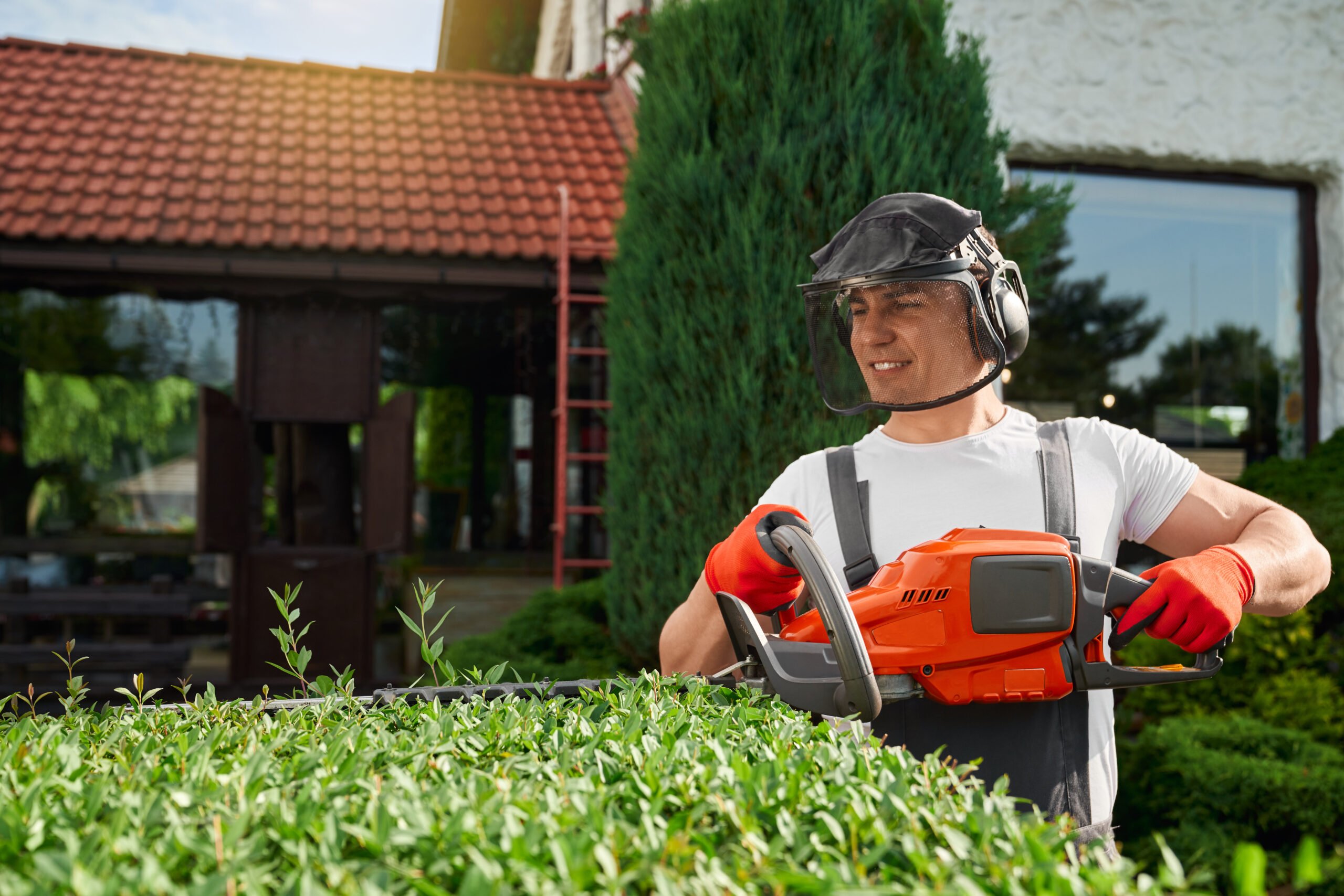 A gardener rakes bushes