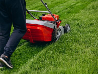 A gardener cuts grass