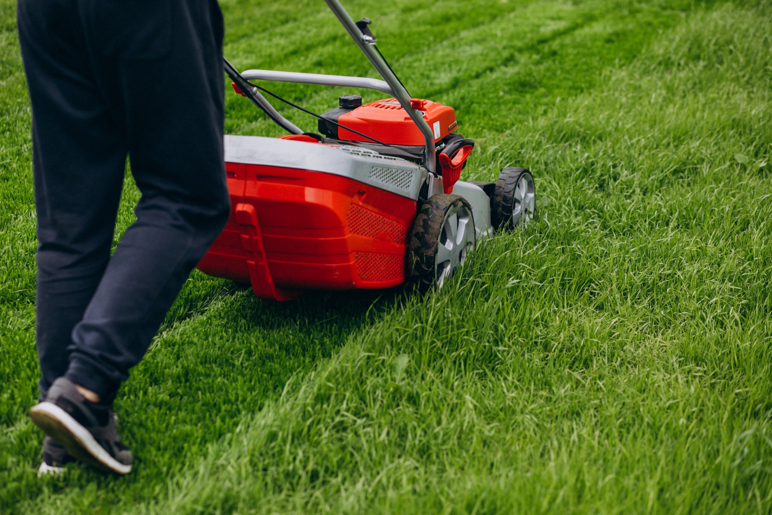 A gardener cuts grass