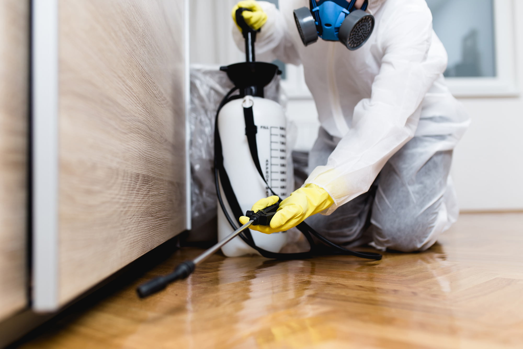 A pest controller does his job