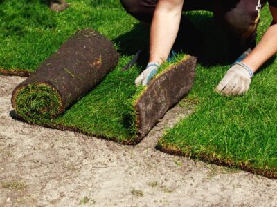 A gardener installs sod